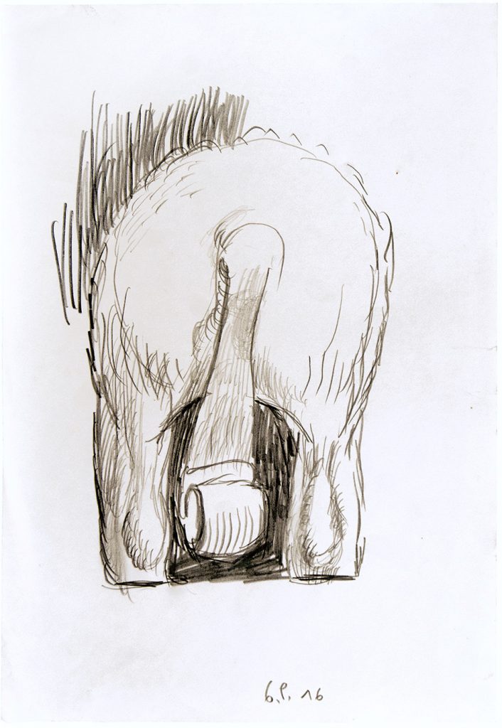pietr-geranzani-studio-per-coda-di-cavallo-1