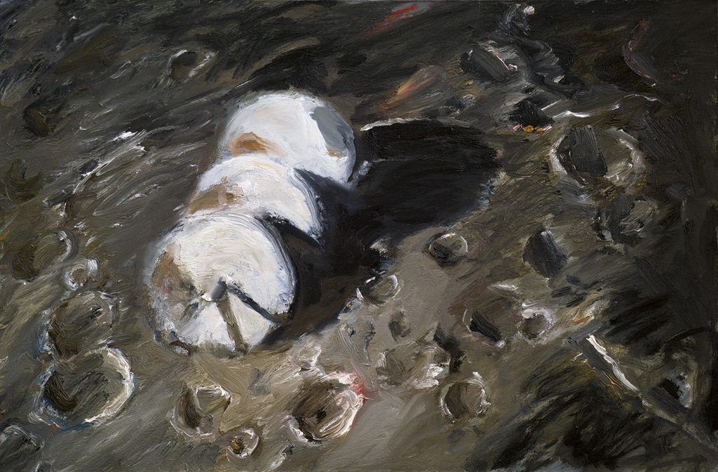 pietro-geranzani-strani-oggetti-sulla-luna-1